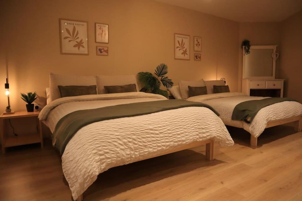Modern Studio Apartment In Cashel Cashel  Buitenkant foto